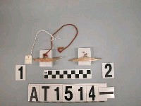 藏品(貝片珠串耳飾)的圖片